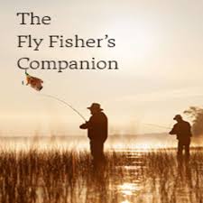 Activity Companion (Fishing, Movies, Shopping, Gym, etc.)